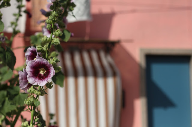 burano ©Shaula Segato