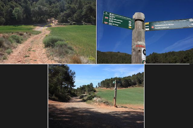 CABRA DEL CAMP-COLL DE SÀRRIA-ROC DEL COGULLÓ-EL COGULLÓ-PUIG DE COMAVERD-COLL DE VALLS, cruïlla al Coll de Valls + ruta del GR-7