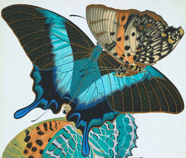 E.A. Séguy ornament butterflies blue