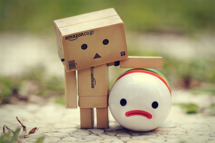 Life Of Danbo