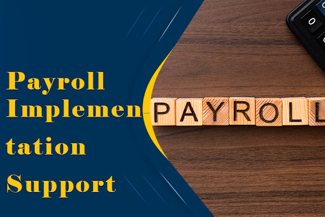 Payroll Implementation Support