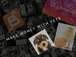 HOW TO MAKE MONEY WITH PETS ?