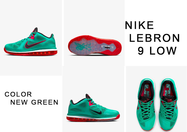 Nike Lebron Shoes Low