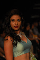 Bollywood, Hot, Actress, at, IIJW, Photos