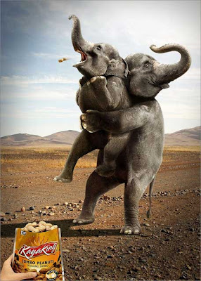 funny-ads19-elephant-jumbo-peanut