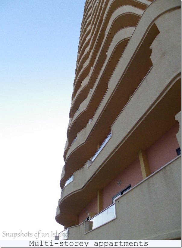 The  Point (14)