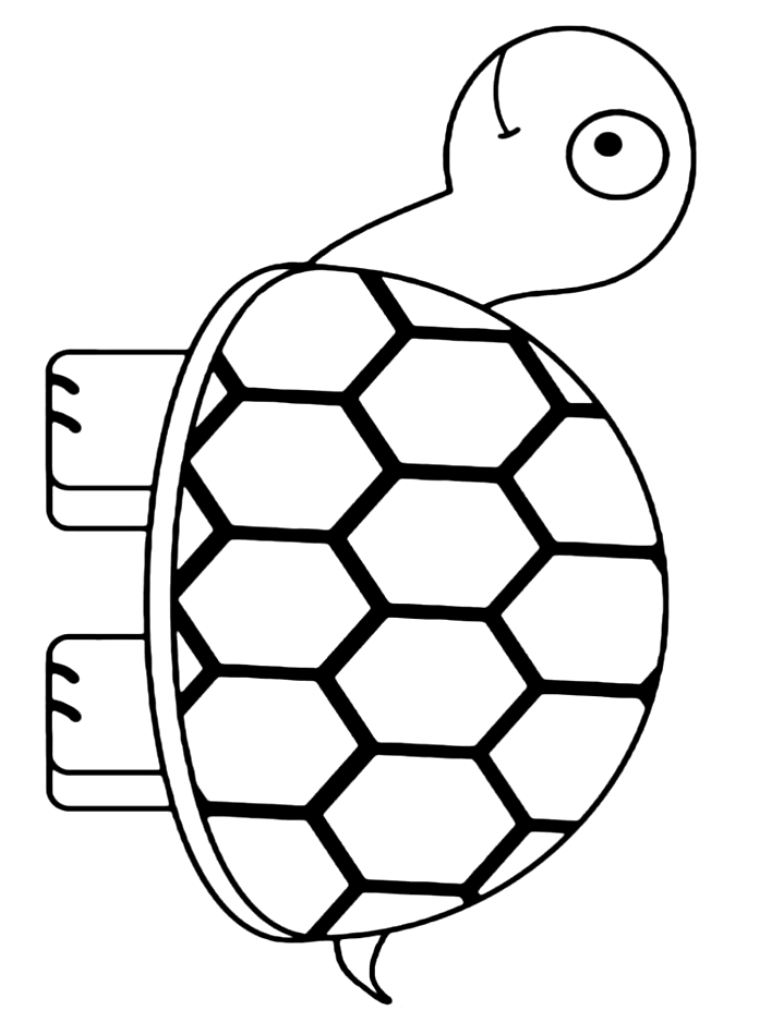 Huge Simple Turtle