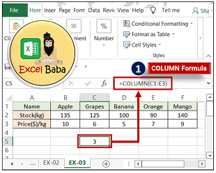 Example 3 COLUMN Function