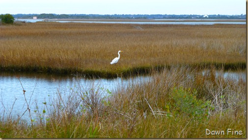 Emerald Island and surrounding area_050