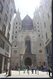 IMG_1337