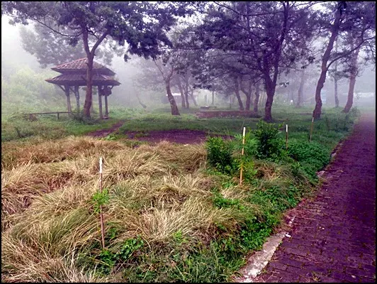 Objek Wisata Ranu Regulo