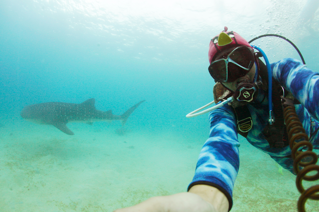 Jun V Lao, Photography, Underwater Photography, Scuba Diving, Dive Philippines