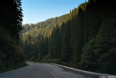 Transalpina  (DN 67C)