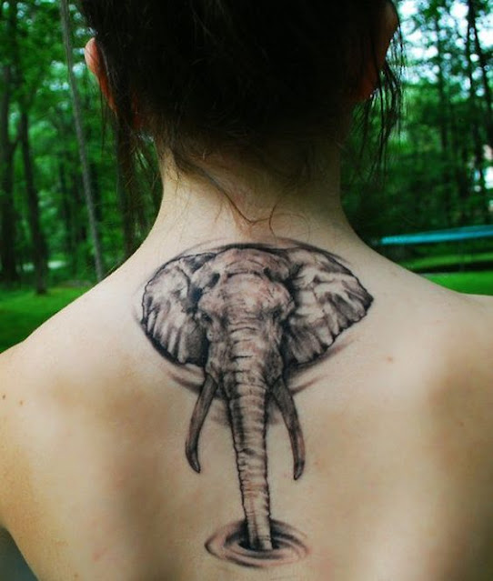 Top 50 ไอเดียรอยสักรูปช้าง Top Beautiful Elephant Tattoo designs