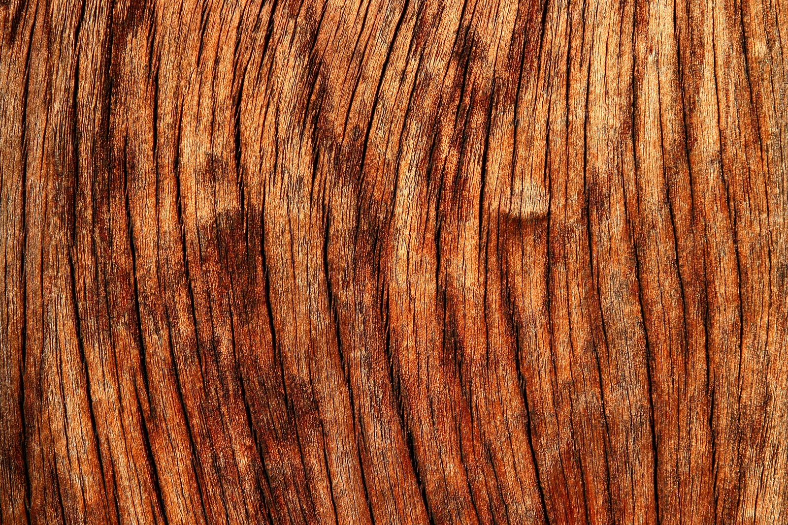 Texture wood