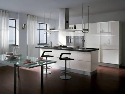 Contemporary Kitchen Designs Photo Gallery on Modern Kitchen Design  Modern Kitchen Gallery