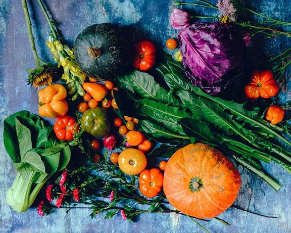 Vegetables and squash