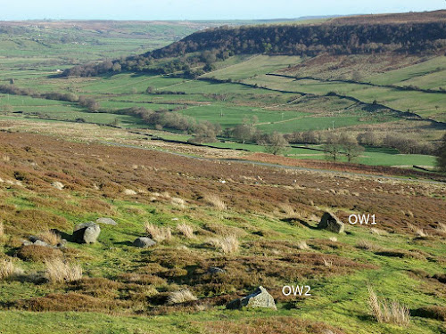 Old Wife's Stones area - Danby Rigg