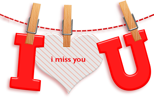 I Miss You i Love You 