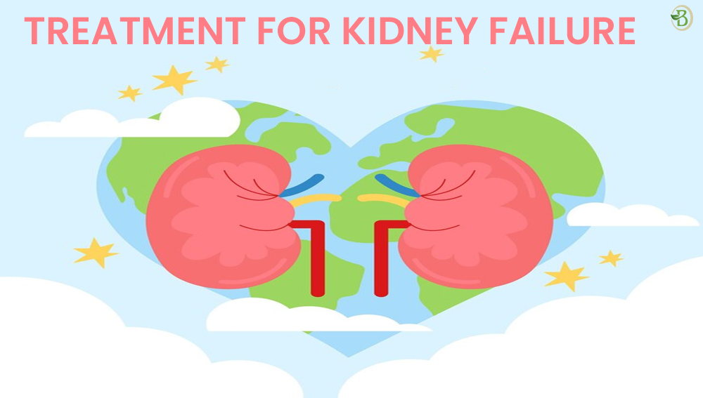 Different Treatments for Kidney Failure Aside from Dialysis