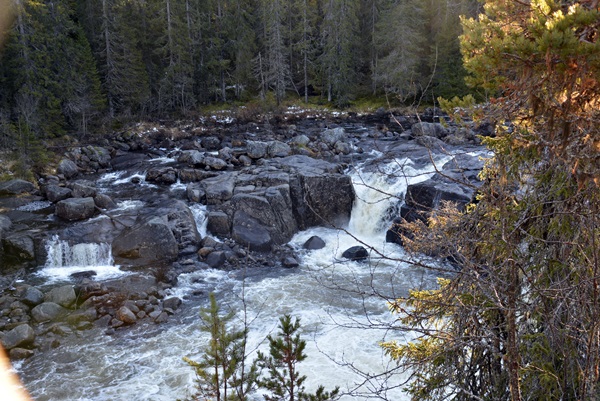 elvelsngs hølera