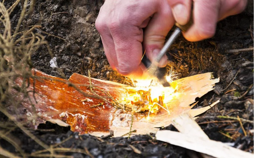 20 Wilderness survival tips that might save your life after SHTF