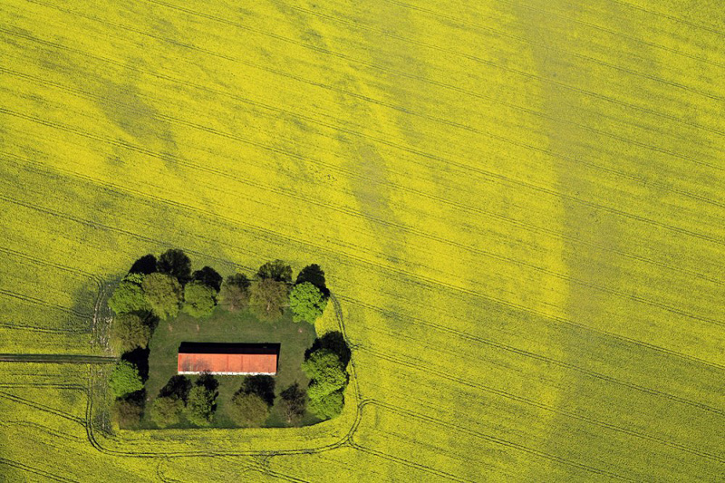 House in a rapeseed field