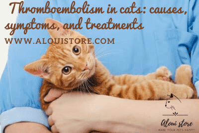 Thromboembolism in cats: causes, symptoms, and treatments