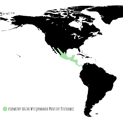 mapa wystęowania monstery dziurawej (monstera deliciosa)