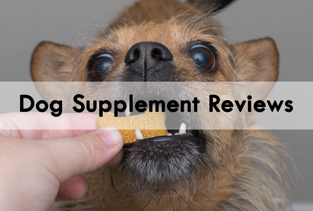 Dog Supplement Reviews
