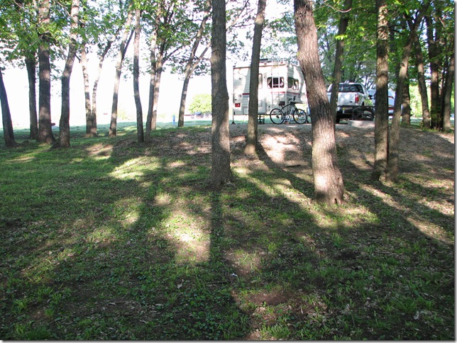 Free Lawn Mowing 006