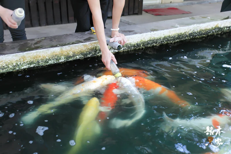 餵魚喝ㄋㄟㄋㄟ、碾米、拔蔥做蔥油餅｜宜蘭親子農場DIY活動、童話村生態農場親子活動