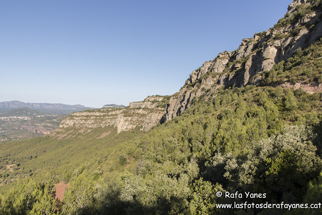 Ruta: Puiggraciós (808 m) (Els 100 Cims)