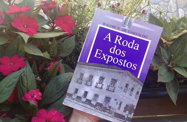 resenha, roda dos exposto, romance regional, waldir de carvalho