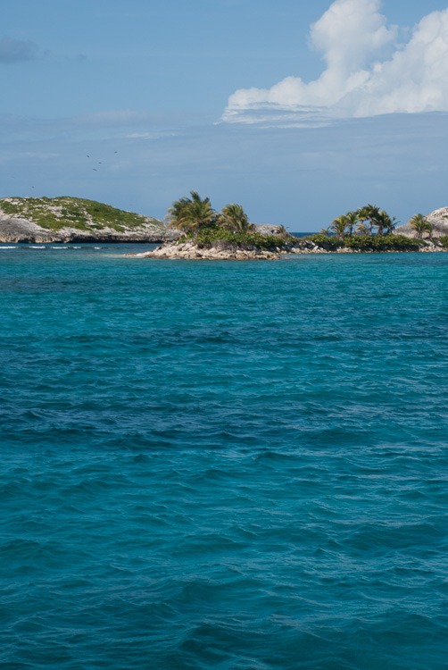Snorkeling in Puerto Rico blog-6