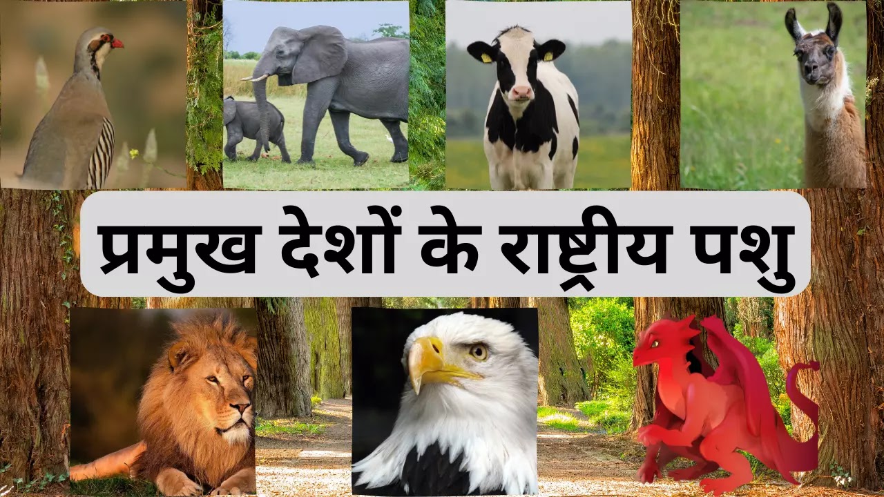 List of National Animals in Hindi