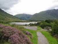 IMG_2253