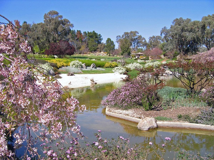 Cowra Japanese Garden, Taman Australia Beraroma Jepang