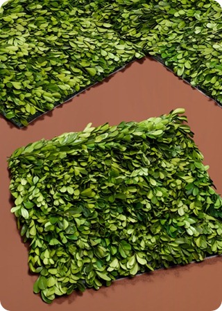 boxwood mat crafting