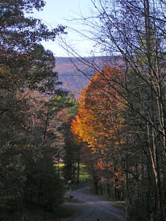 road in autumn