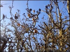 P2110304