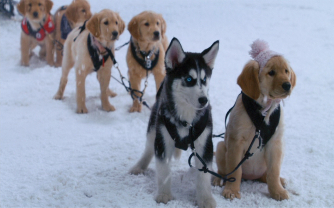 2008 Snow Buddies