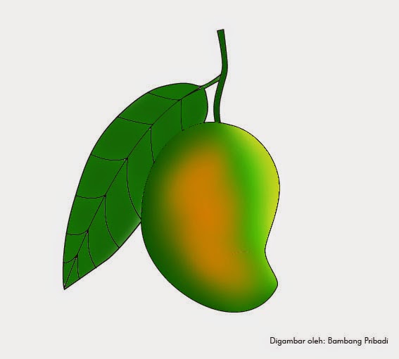 Belajar Mewarnai Gambar  Buah  Mangga  belajar menggambar 