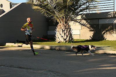 Mushing Canicross Aranjuez