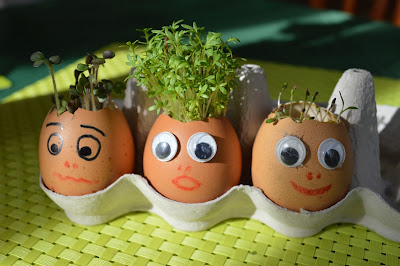 Herbs growing from eggshell, Easter decoration
