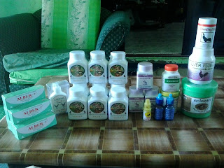Ayam Sabung: Penjagaan Ayam