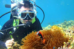 Diving Spots in the Philippines Pinoy Adventurista Top