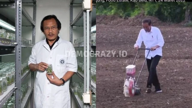 Guru Besar IPB: Seluruh Proyek Food Estate Gagal Karena Langgar Kaidah Akademis!
