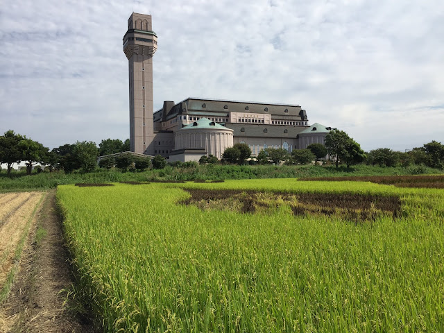 こしがや田んぼアート2015食戟のソーマ（9/20）