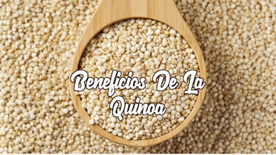 Beneficios De La Quinoa Beneficios De La Quinoa